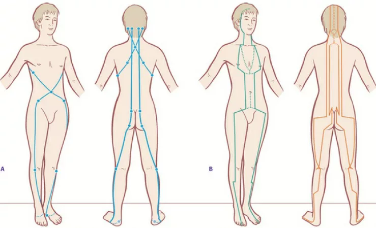 Ilustração anatômica comparando linhas fasciais e meridianos da acupuntura chinesa, mostrando a relação entre os sistemas.